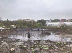 衡水河道鱼塘清淤